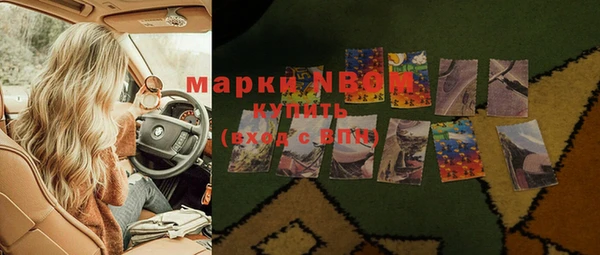 индика Верхнеуральск