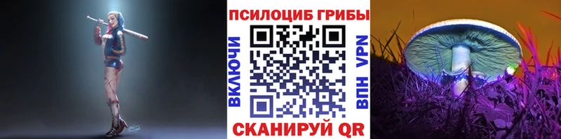 цены наркотик  Семёнов  Псилоцибиновые грибы мицелий 